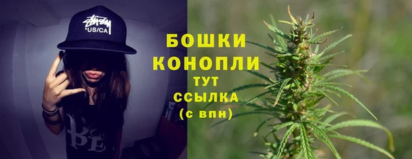 крисы Армянск