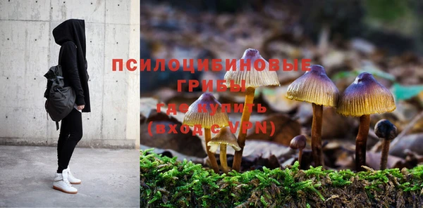 крисы Армянск