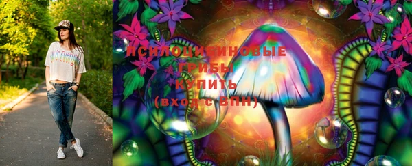 ПСИЛОЦИБИНОВЫЕ ГРИБЫ Аркадак