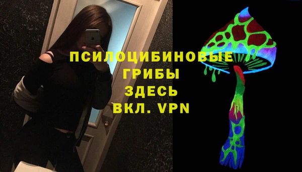 крисы Армянск