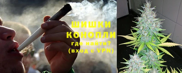 ПСИЛОЦИБИНОВЫЕ ГРИБЫ Аркадак