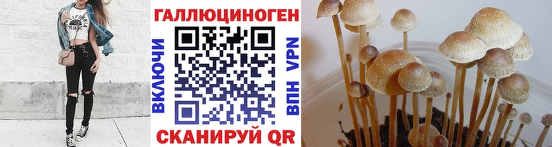 Псилоцибиновые грибы прущие грибы  Пустошка 